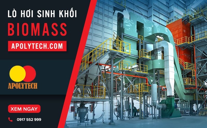 Lo-Hoi-Sinh-Khoi-Biomass-Xu-The-Tat-Yeu-Trong-San-Xuat