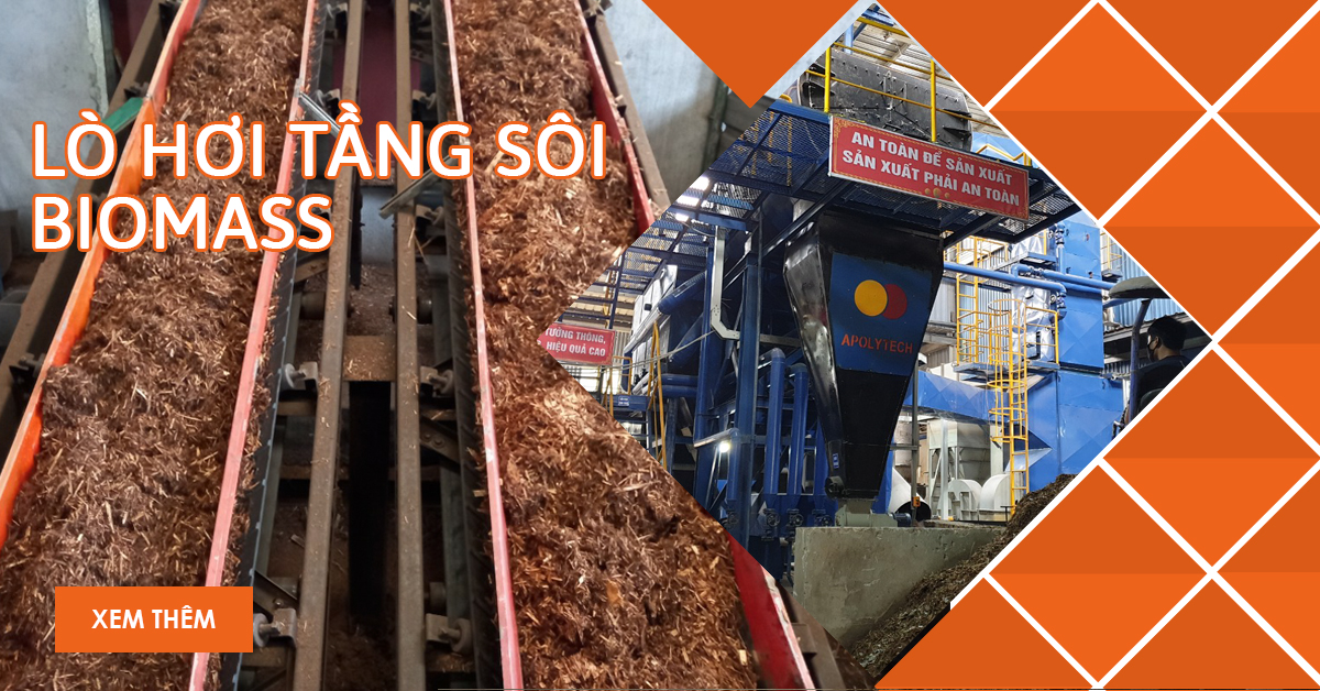 lo hoi tang soi biomass