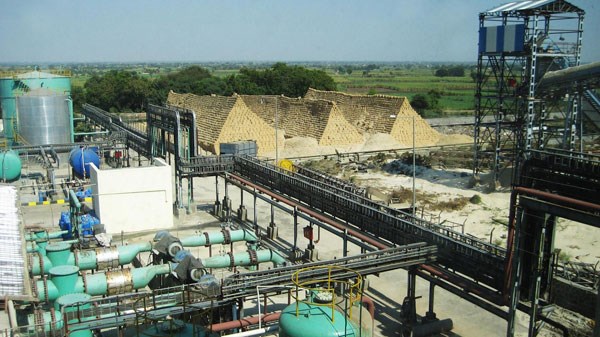 Điện sinh khối