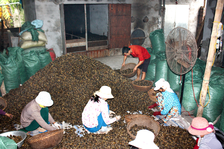 lo hoi cong nghiep say cau