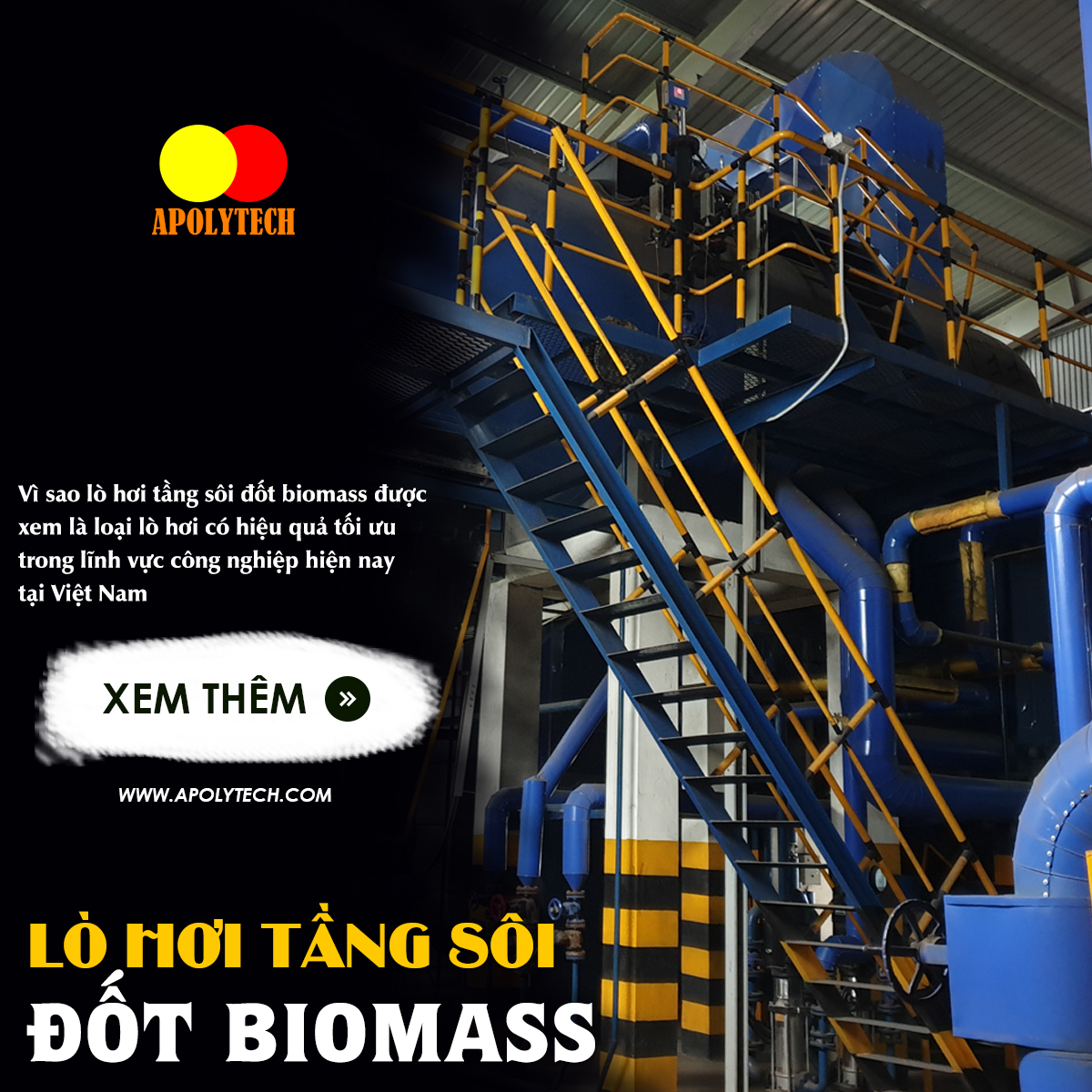 lo hoi dot biomass